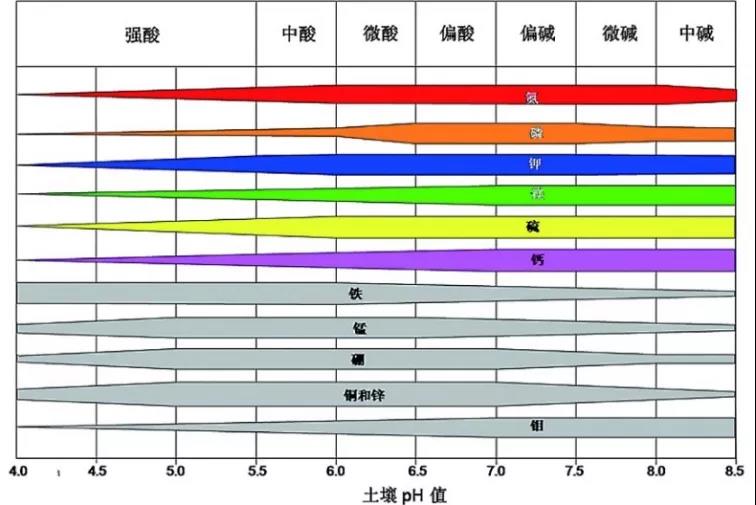 土壤PH速測(cè)儀，快速測(cè)PH